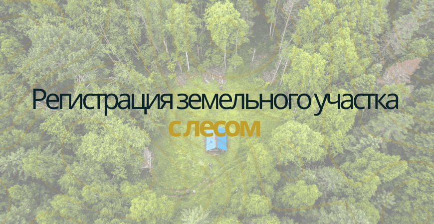 Земельный участок с лесом в Севастополе